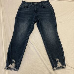 Judy Blue Skinny Jeans 16W